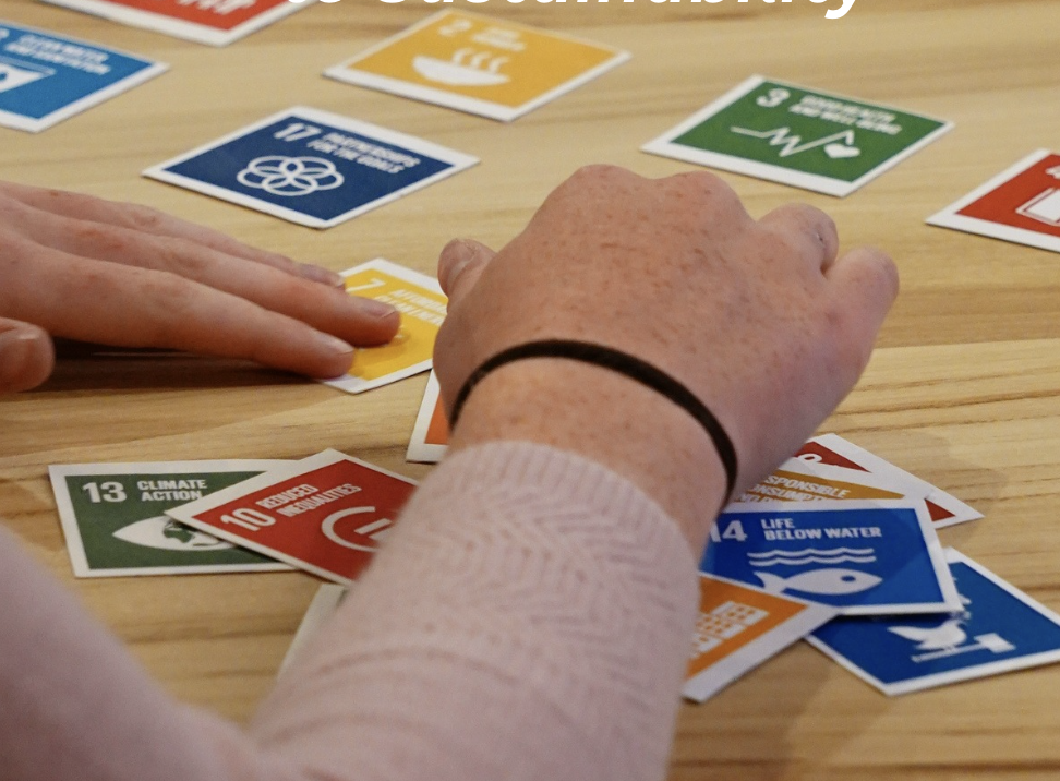Image of student's hands sorting Sustainability Goals cards